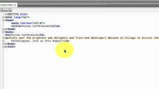 webstorm auto format options