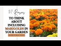 07 Reason To Think About Including Marigold In Your Garden | Benefits Of Marigold | Marigold Plant