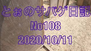 鹿児島サバゲー『とぉのサバゲ日記』No108  2020/10/11