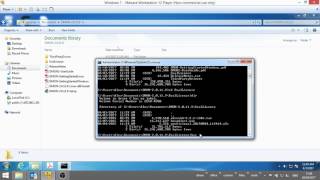 DMON Eval License Install