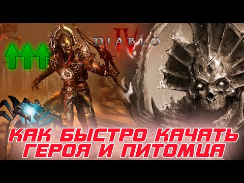 Diablo 4 — Как быстро качаться в 3-м сезоне самого героя и так же быстро питомцев (все его навыки)