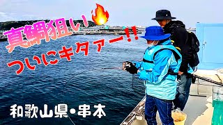 26④【無料で子供でも真鯛のチャンス🎣】串本大島春休みスペシャル