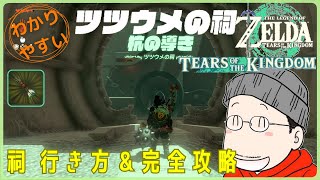 ツツウメの祠（杭の導き）の行き方＆完全攻略プレイ『木の矢×５』入手｜ゼルダの伝説 ティアキン