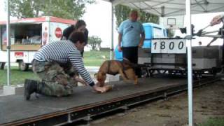 Murphy 09. 2010. Kunbaracs Weight Pull show