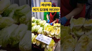 뭐해요? 여기 어디야? #폭락 #맛집 #시장 #배추 #김치 #맛집