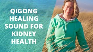 Qigong Healing Sound For Kidney Health | Qigong Meditation For Kidneys | Qigong For Seniors