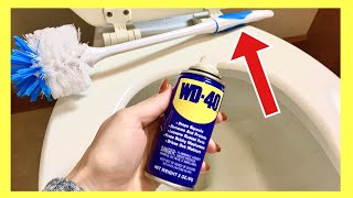 The TRUTH About WD 40 vs TOILET for Cleaning!! (The One TRICK Everyone Should KNOW?!) | Andrea Jean