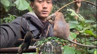 catching lots of Rat arunachal pradesh