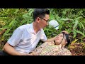 CEO had an accident after a day off while helping a single mother in the wild green forest(tiểu ly)