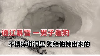 自有气象记录以来最大暴雪，一男子遛狗不慎掉进雪洞，老吓人了【ENG SUB】