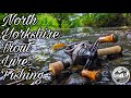 NORTH YORKSHIRE BROWN TROUT LURE FISHING - bait finesse