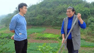 The mother-in-law set the land boundary of her hometown and went to see her father-in-law  because