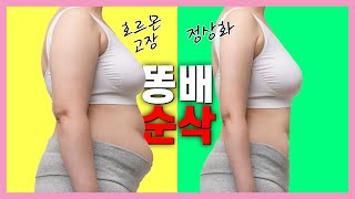 무섭도록 뱃살이 빠집니다. 매번 실패 했다면 이 영상보고 성공하세요.