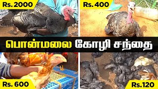 பொன்மலை கோழி சந்தை | Golden Rock Trichy sunday market Part 01 | ஞாயிற்றுக்கிழமை சந்தை