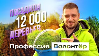 Лесной лагерь на Байкале / Профессия волонтёр