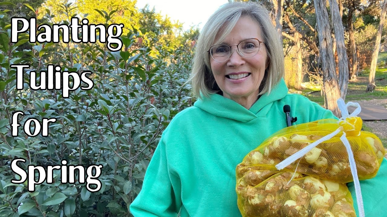 Planting Tulips Youtube