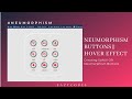 Neumorphism UI Buttons|| Soft UI|| CSS Neumorphism Button Hover Effects | CSS3 Soft Button UI ||CSS3