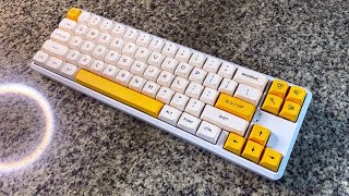 Rakk Pluma Keyboard Build