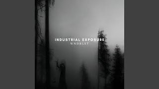 Industrial Exposure