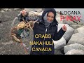 MGA ILOCANO NANGHULI NG CRABS SA CANADA SA MALAMIG NA PANAHON