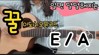 기본코드 E, A 오픈(개방현)코드 알고 연습하기.  기타초보필수