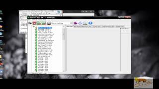 Pokemon Hacking - Basic Script