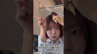 5분만에 하는 초간단 뿌리살리기🍀 -홍대하이니헤어 혜림실장- #kpop