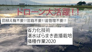 【超省力】田植えはしない！苗管理もしない！田植え機も持たない！ばらまき直播栽培　播種編2020