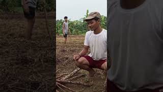 Bikin kangen liat suasana di kampung #shorts