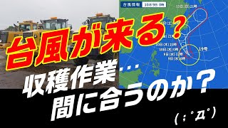 2019　デントコーン収穫作業　part3