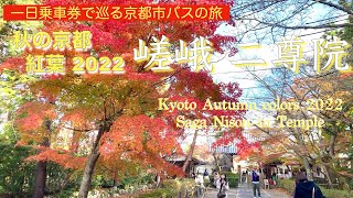 秋の京都　紅葉巡り2022 第８回 嵯峨 二尊院