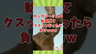 カンガルーさんの動画見てクスッとなったら負けwww　#2ch動物スレ #動物 #shorts #2ch