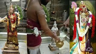 Tiruchengode Arthanaarisuwarar Tempel Kethaara kavri Viratha Poojai     4th day