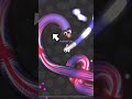 slither.io nice shots slitherio