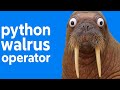 #python Walrus Operator — use with care