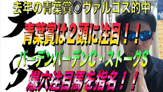 【青葉賞2021 バーデンバーデンカップ2021 ストークステークス2021】青葉賞の最終予想＆バーデンバーデンカップとストークステークスは荒れる！！【競馬予想】