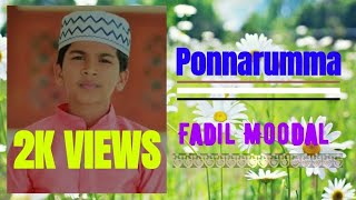 Ponnarumma || lyrics || Abdullah Fadil Moodal New song 2020