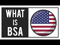 Bank Secrecy Act Explained: Combatting Money Laundering & Terrorist Financing | What is BSA?