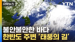 [자막뉴스] "슈퍼 태풍 가능성"...올해 한반도 두려운 전망 / YTN