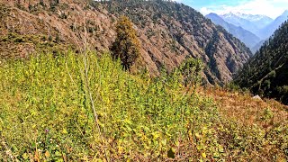 Descent from Rasol to Kasol. The Himalayas The Parvati Valley, Himachal Pradesh India