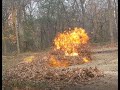 Leaf Burn!   burning leaves, great sound and visual   slow motion slow mo explosion and whoomp