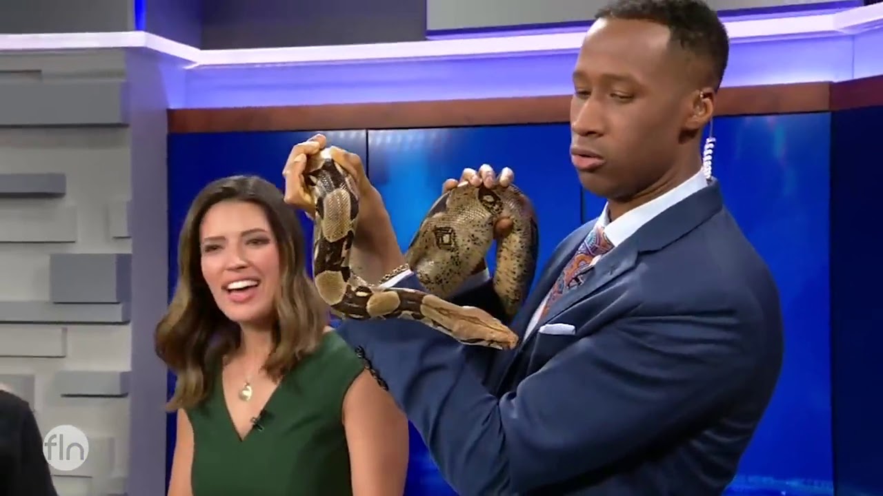 Funniest Tv News Bloopers Fails Youtube
