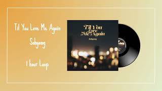 소향(SoHyang) - Til You Love Me Again 1시간 연속듣기 1 hour loop