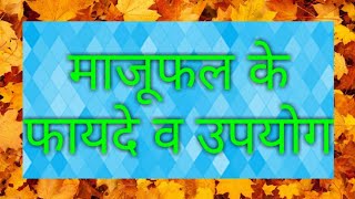 माजूफल के फायदे | माजूफल के गुण | माजूफल के उपाय | माजूफल के बारे में बताएं | माजूफल का उपयोग