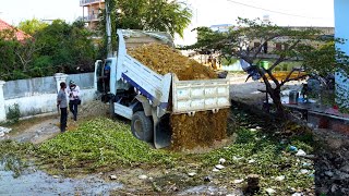 New Project Filling Land 10m x 20m Bulldozer Push Rock For Remove The Flood \u0026 5t Truck Unload