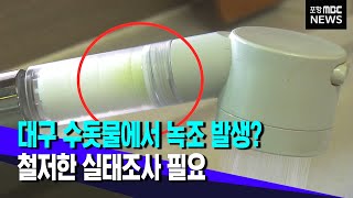 대구 수돗물에서 녹조 발생? (2022.09.26/뉴스투데이/포항MBC)