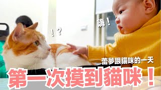 【小貓奴養成記EP10】第一次摸到貓咪！蕾夢跟貓咪的一天～