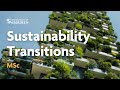 MSc Sustainability Transitions