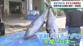 宮城・塩釜市魚市場２２日から１カ月使用停止　仲卸売市場やすし店は苦慮