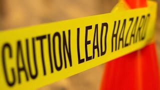 Lead Regulations Make Us Smarter